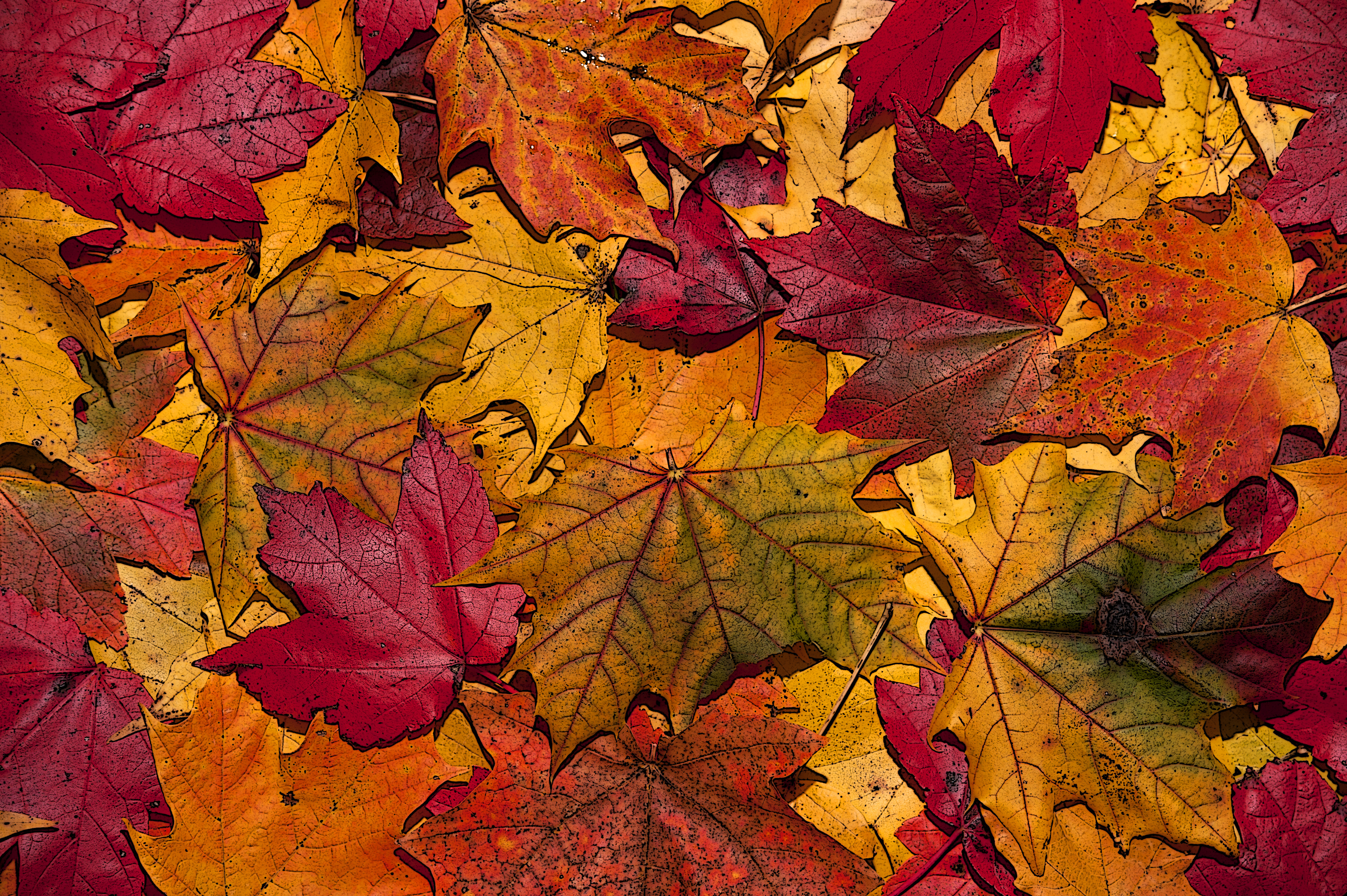 Autumn Leaves – Cuatro mas uno