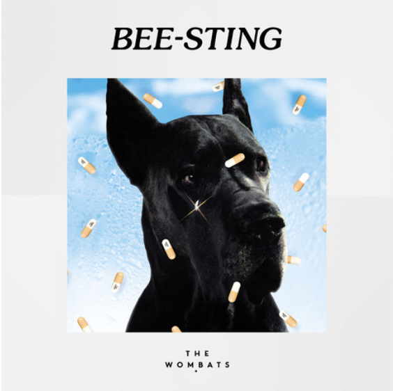 The Wombats estrena sencillo “Bee-Sting”