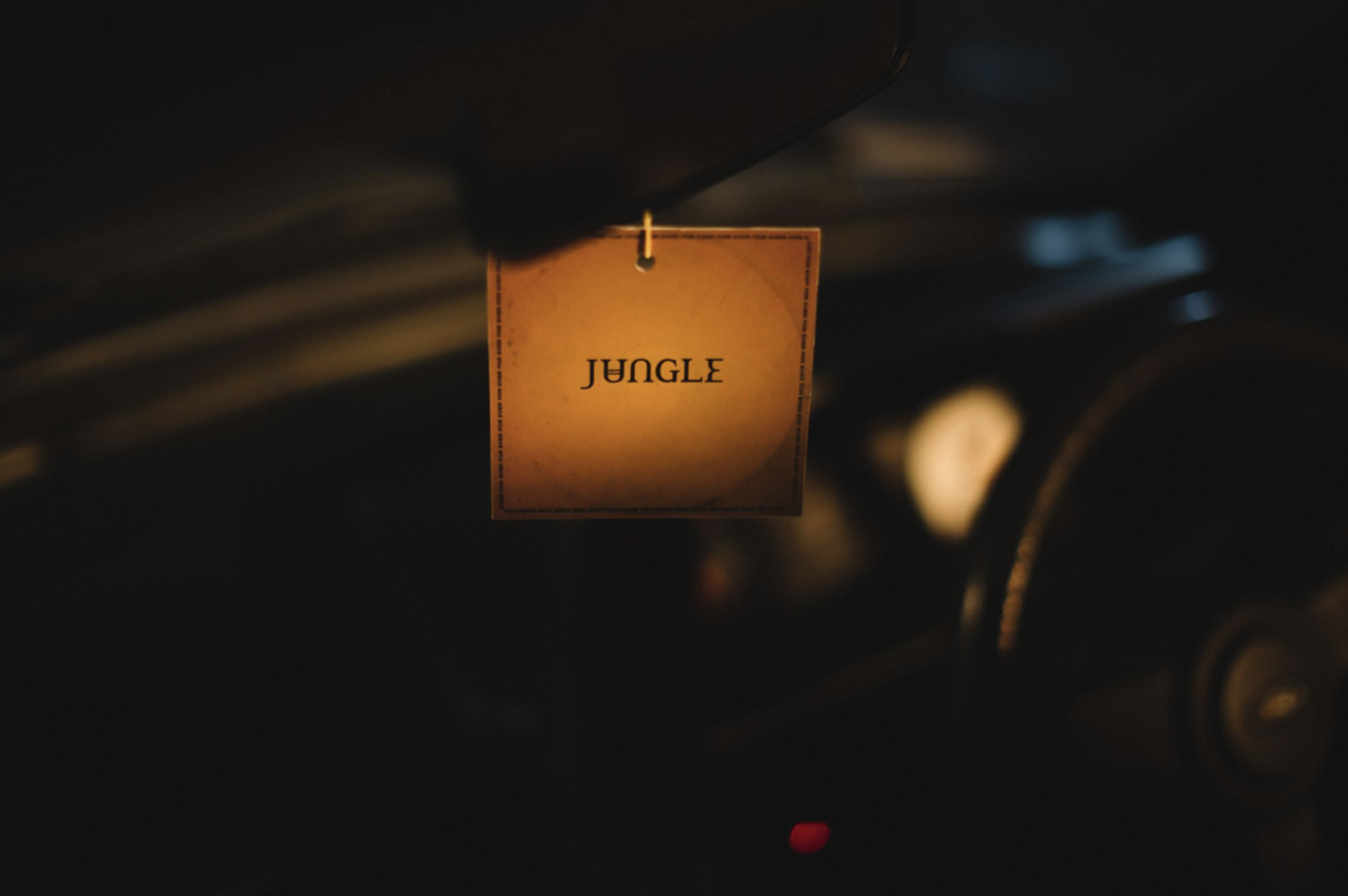 “For Ever” El nuevo disco de JUNGLE